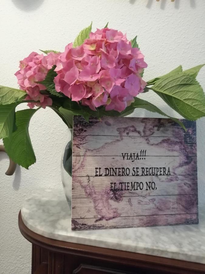Apartamento Rio Agueera En Guriezo, Next To Castro Urdiales Y Bilbao Adino المظهر الخارجي الصورة